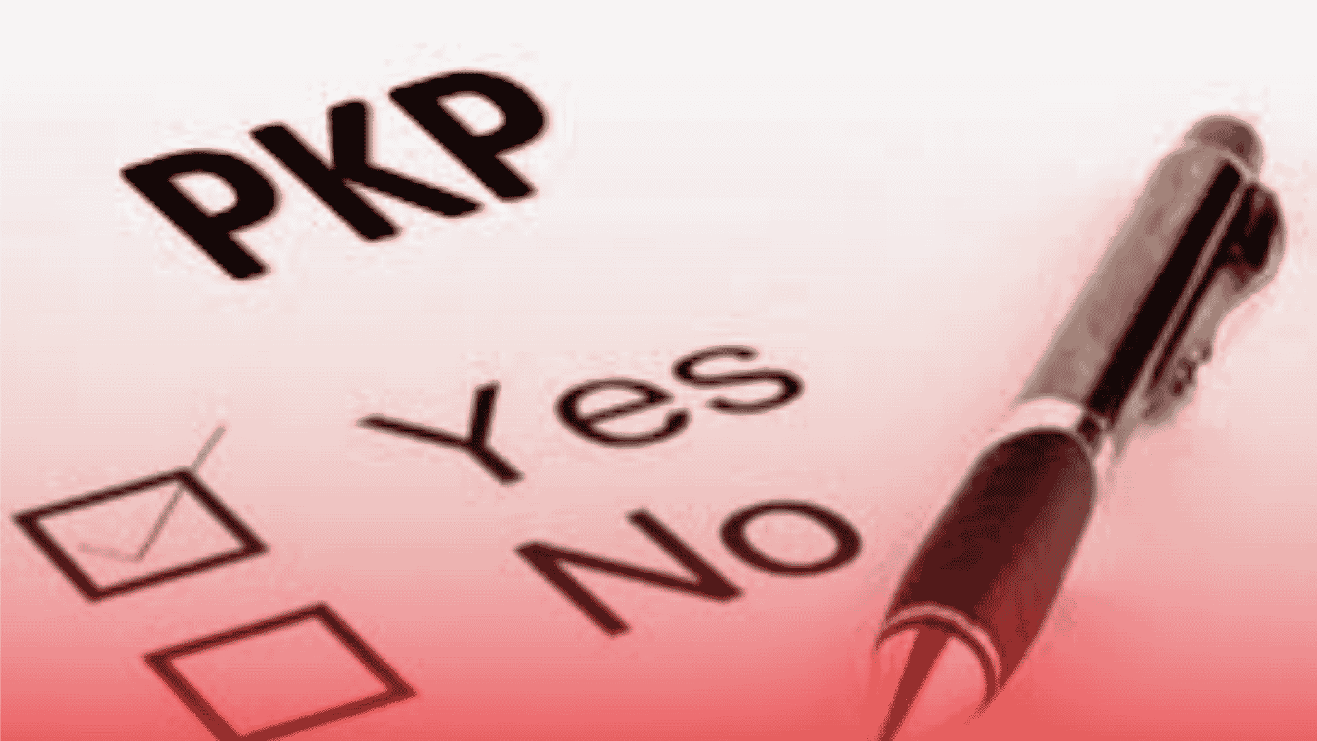 PKP vs Non PKP: Apa Perbedaannya dan Mengapa Penting untuk Bisnis Anda?